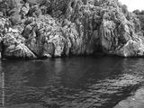 preview bw
