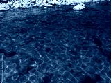 preview cold