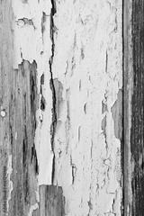 preview bw