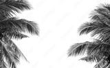 preview bw
