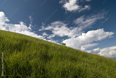 image to crop