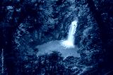 preview cold