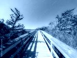 preview cold
