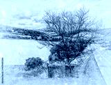 preview cold