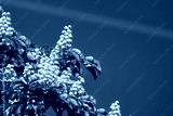 preview cold