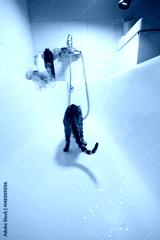 preview cold
