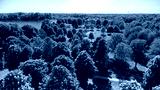 preview cold