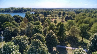 image to crop