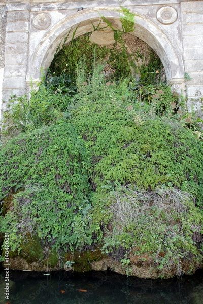 image to crop