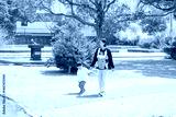 preview cold