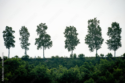 image to crop