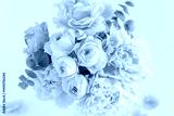 preview cold
