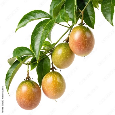 image to crop