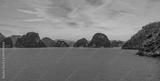 preview bw