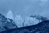 preview cold