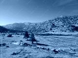 preview cold