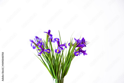 image to crop
