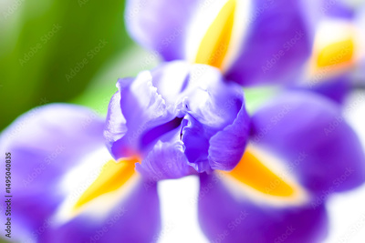 image to crop