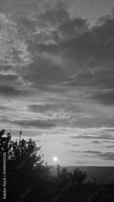 preview bw