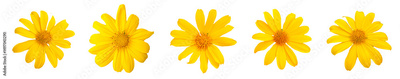 image to crop