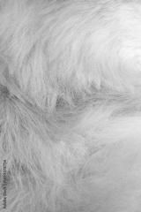 preview bw