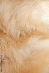preview original
