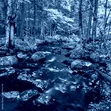 preview cold