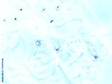 preview cold