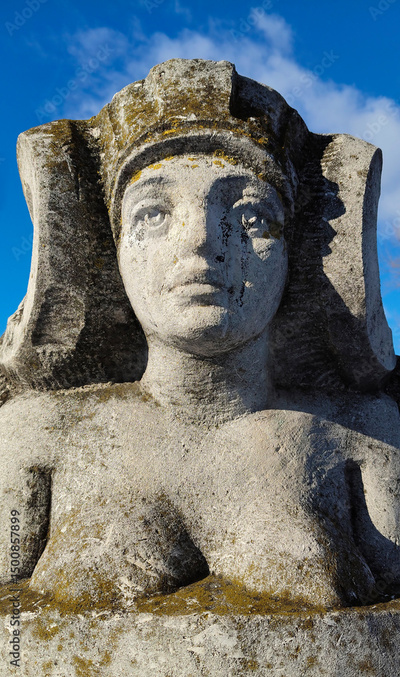 image to crop