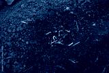 preview cold