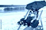 preview cold