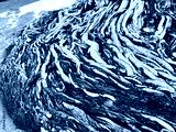 preview cold