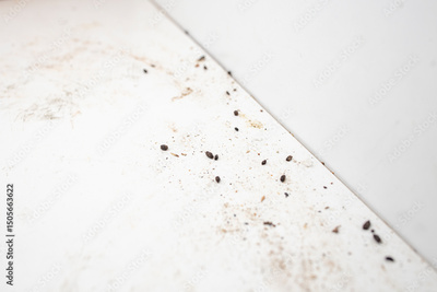 image to crop