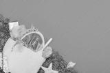 preview bw