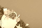 preview sephia