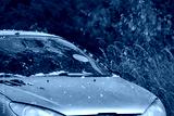 preview cold