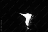 preview bw