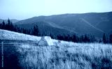 preview cold