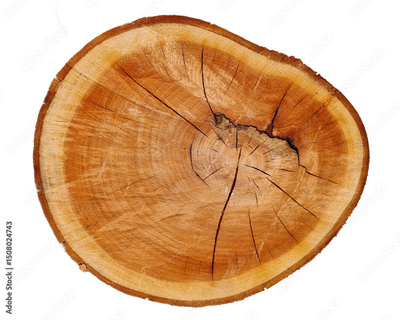 image to crop