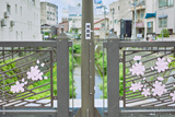 preview original