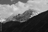preview bw
