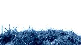 preview cold