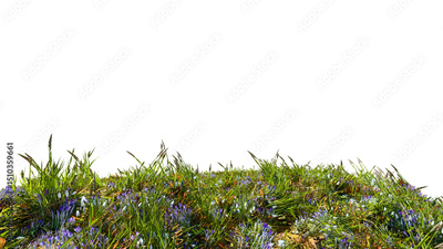 image to crop