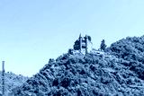 preview cold