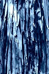 preview cold