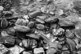 preview bw