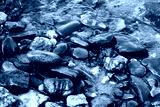 preview cold
