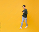 preview original