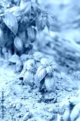 preview cold