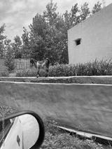 preview bw